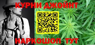 spice Тара