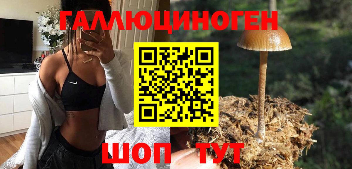 Галлюциногенные грибы ЛСД  Вход с VPN  Новоалтайск 
